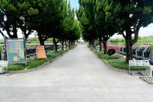 长青陵园园区景观图
