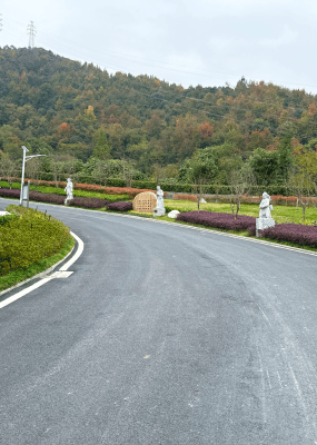 萧山泰和陵园环境图