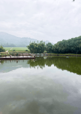 径山竹茶园环境图