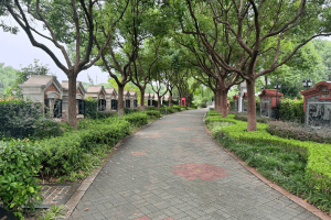 福寿园墓区环境图