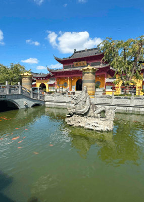 川沙寺环境图