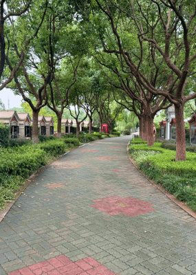 福寿园环境封面图