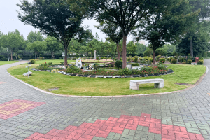 福寿园墓区环境图