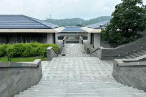 径山竹茶园园区景观图