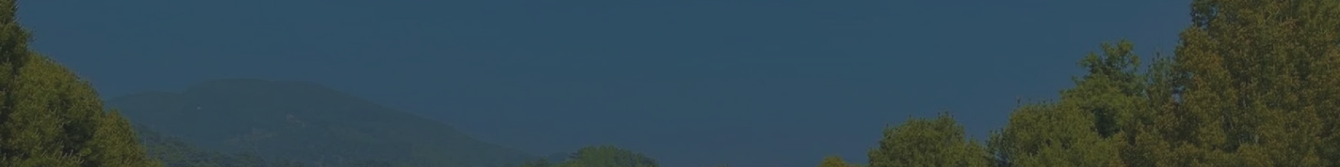 上海公墓购墓流程标题背景图