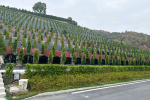 萧山泰和陵园墓区环境图