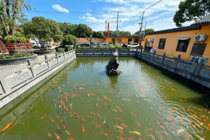 川沙寺园区景观图
