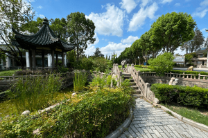 界龙古园景观图