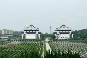 天马塔园景观图