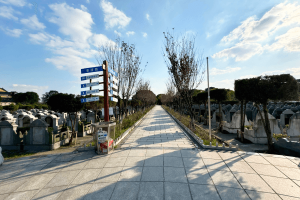 松隐山庄景观图