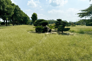 淀山湖归园景观图