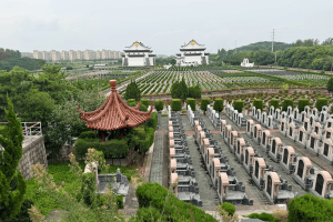 天马塔园墓区环境图