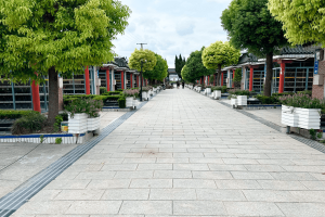 宝安暝园-菩提阁景观图
