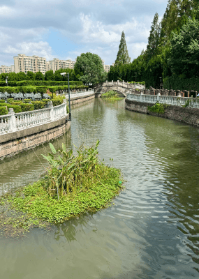 永安公墓环境图