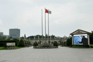 徐泾西园景观图