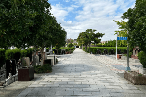 天长公墓景观图