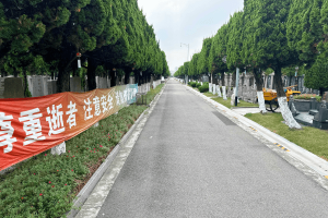 徐泾西园景观图