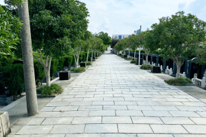 天长公墓墓区环境图