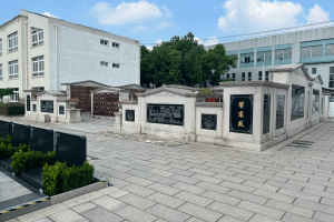 颛桥寝园公墓墓区环境图