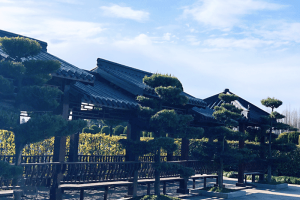 鳌山瞑园景观图