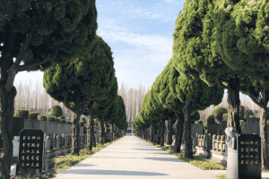 鳌山瞑园墓区环境图