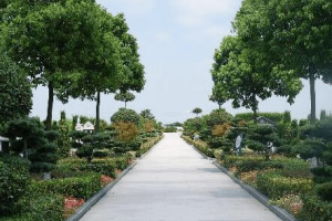 闽行天国墓园景观图