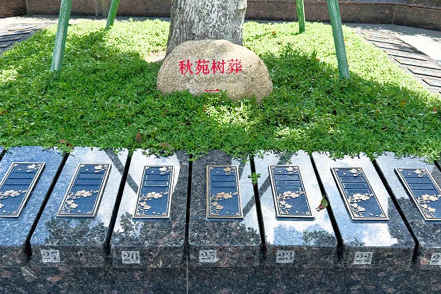 上海的树葬墓园