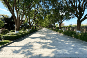 枫泾公墓景观图
