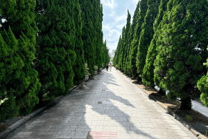 界龙古园景观图