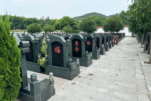 天马山公墓墓区环境图