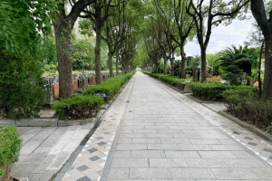 永安公墓景观图