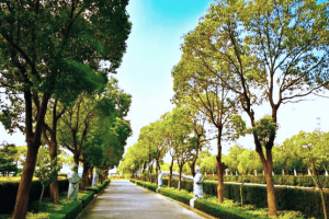 鳌山瞑园景观图